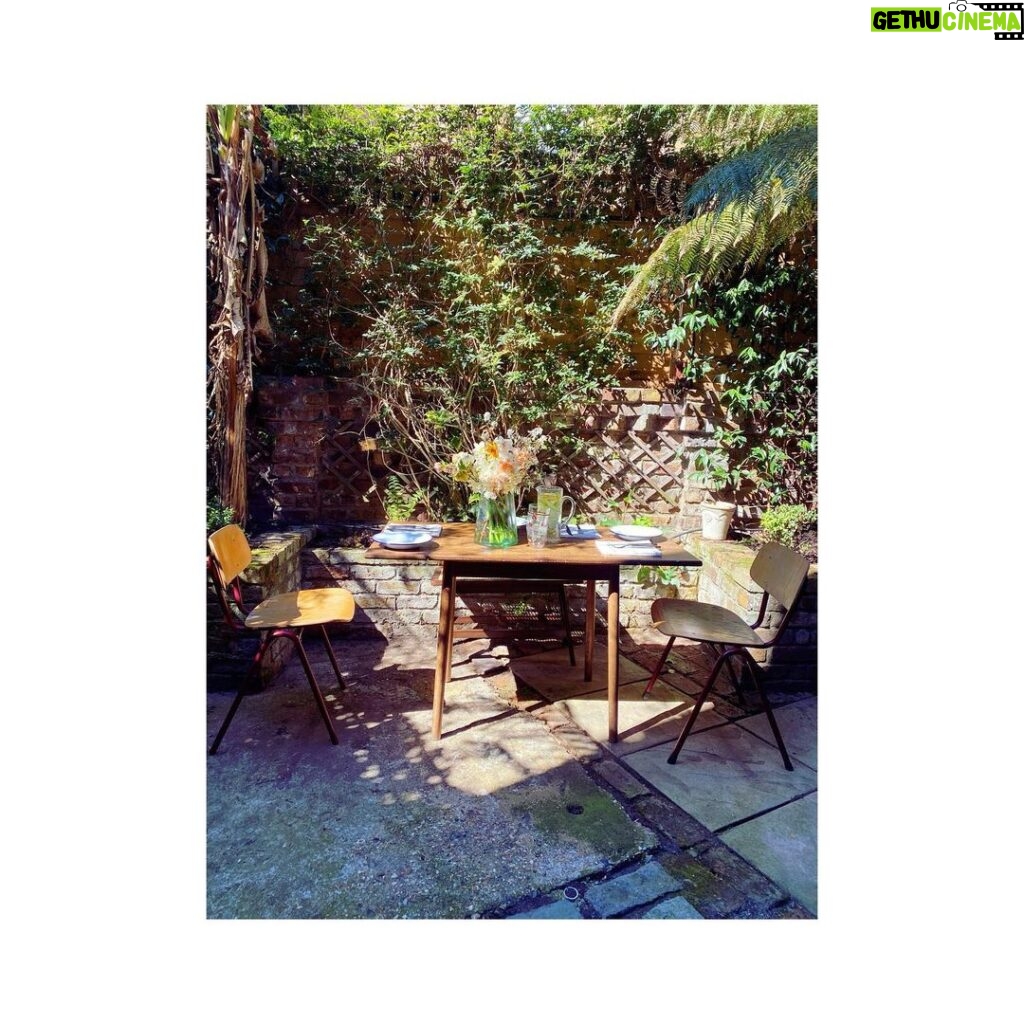 Alice Levine Instagram - Never had my own garden before ✨