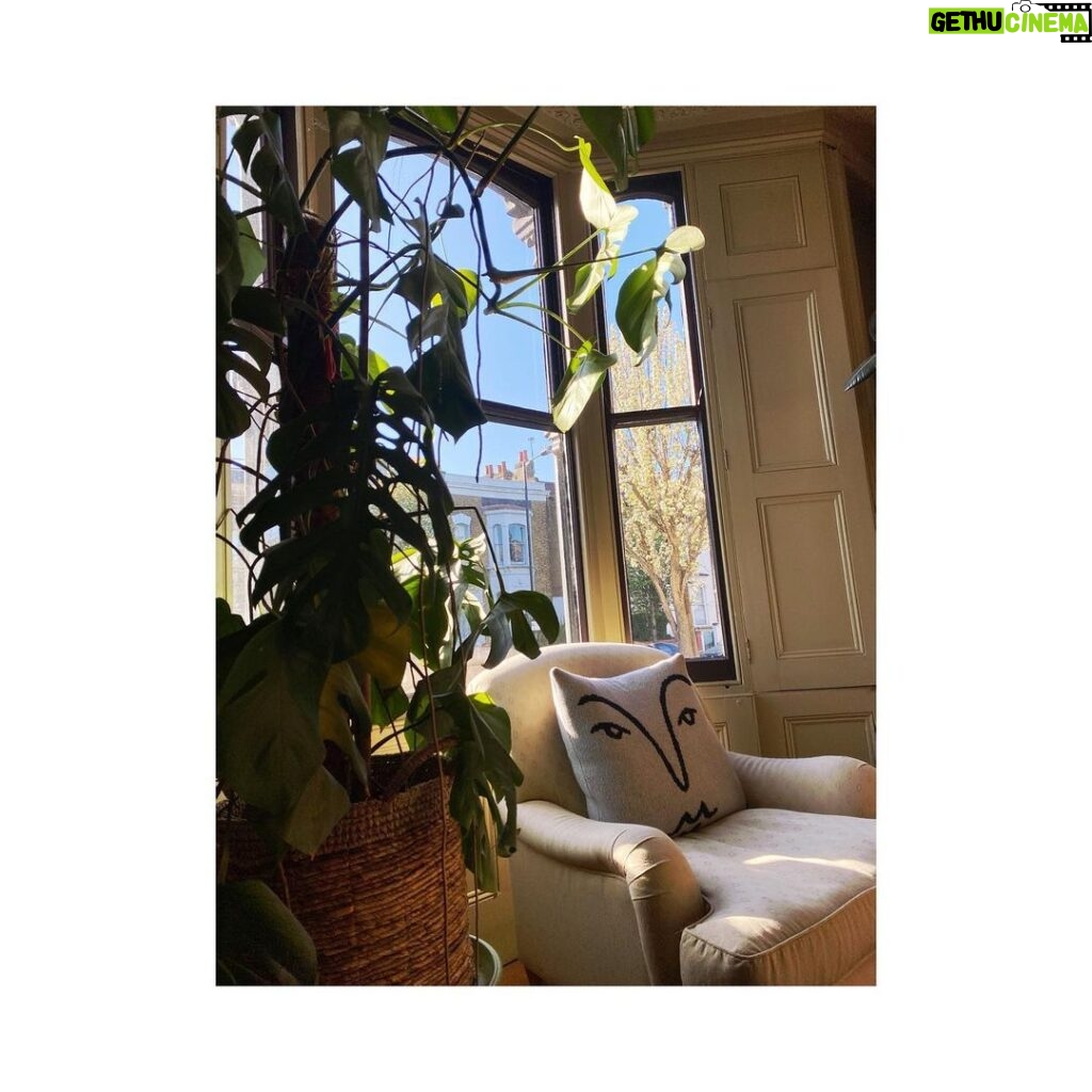Alice Levine Instagram - Lovely light ✨. Thoughts for covering this eBay chair please - Stripes? Floral? A tapestry of names of my foes? (Your cushion is still, quite rightly, giving me a disapproving look @gianninacapitani @alicedanseyw) 🍃🍃