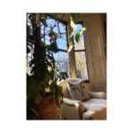 Alice Levine Instagram - Lovely light ✨. Thoughts for covering this eBay chair please - Stripes? Floral? A tapestry of names of my foes? (Your cushion is still, quite rightly, giving me a disapproving look @gianninacapitani @alicedanseyw) 🍃🍃