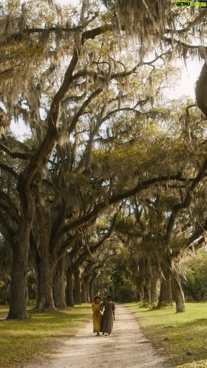 Alicia Keys Instagram - I love this song so much!!!! Don’t we all need a Lifeline?? The @thecolorpurple is so powerfully about sisterhood! About strength and resilience, about the lifeline we can be for each other! Who’s going on Dec 25th?? Video droppin’ sooooon!! 😉😉 I can be your lifeline, stay with you til the sunrise 💜🎶✨