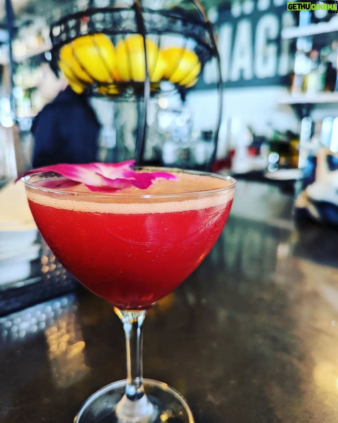Alison Haislip Instagram - 2022 was a year of great travel. But it was also the year I perfected the art of taking really pretty pictures of really pretty drinks. So instead of a recap of my travels, here's a recap of my drinks on my travels. From the Netherlands to New Orleans to New York, and from London to my home city of Los Angeles (with some Hilton Head and St Helena sprinkled in as well), it's been a beautiful journey. If you're someone I shared one of these drinks (or any drinks!) with this year, thanks for being part of the ride. Cheers to 2023🥂