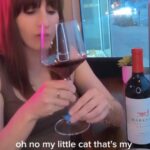 Alison Haislip Instagram - If you have yet to follow me over on TT (link in bio), I'm doing a fun little series called Take Out Tastings, where I pair awesome wines with your favorite take out meals. A lot of places I order from are local to LA, but this time I had @mendocinofarms so way more of you could enjoy this perfect duo! I paired their Not So Fried Chicken Salad with the @markham_vineyards Merlot and it was divine. And if you DO live in LA, you can pick up this bottle (and so many more!) at @curatedwinesla. Give this combo a try and let me know what you think! (Only if you're over 21 of course. 😉) #wine #winepairing #mendocinofarms #merlot #takeout #takeouttasting #curatedwines #curatedwinesla #catwinecharm Curated Wines LA