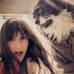 Alison Haislip Instagram – This is the best picture we’ve ever taken.

#gandalfthewhite