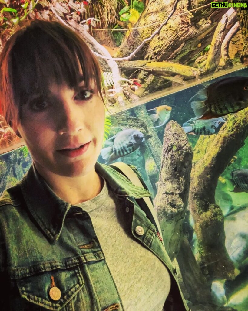 Alison Haislip Instagram - 🐟Hey @alexgaskarth. I'm in your city, hangin' with your fish.🐠🐡🦈 #nationalaquarium #baltimore #FISH The Baltimore Aquarium