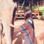 Alizée Williot Instagram - Mon plus beau souvenir de Thaïlande ❤️ Elephant Jungle Sanctuary Phuket