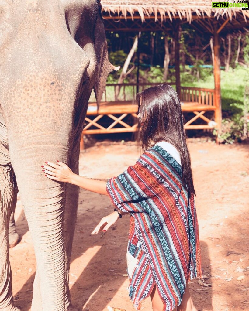 Alizée Williot Instagram - Mon plus beau souvenir de Thaïlande ❤️ Elephant Jungle Sanctuary Phuket