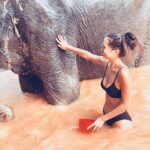 Alizée Williot Instagram - Mon plus beau souvenir de Thaïlande ❤️ Elephant Jungle Sanctuary Phuket