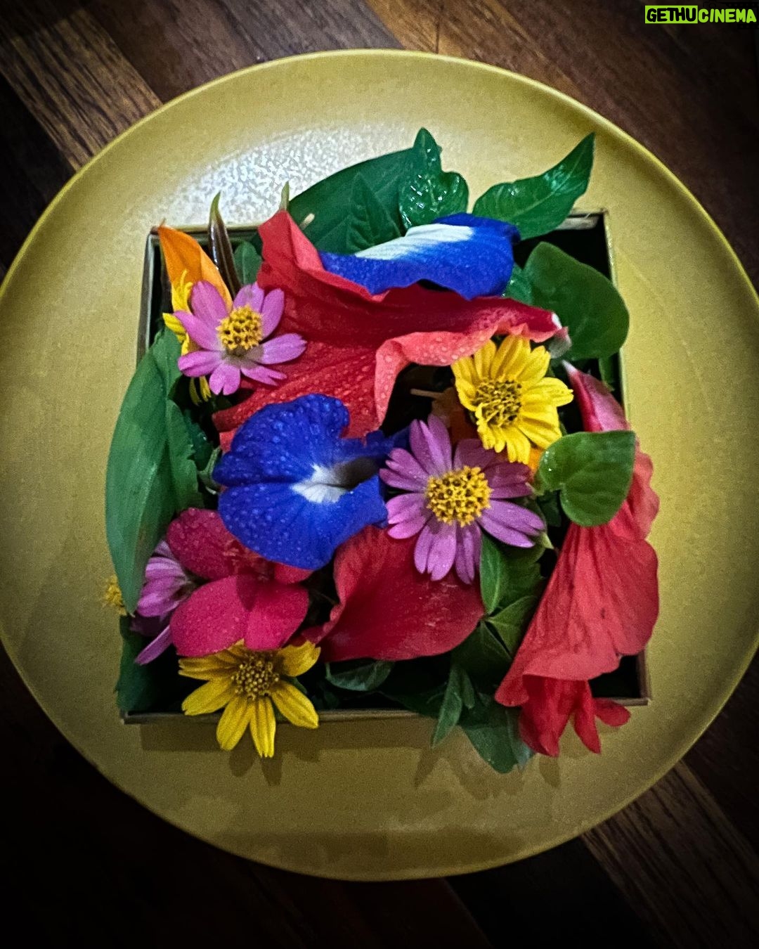 Alizeh Agnihotri Instagram - daily offerings 🌺