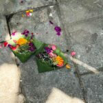 Alizeh Agnihotri Instagram - daily offerings 🌺