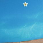 Alizeh Agnihotri Instagram - a summary of summer ⛱