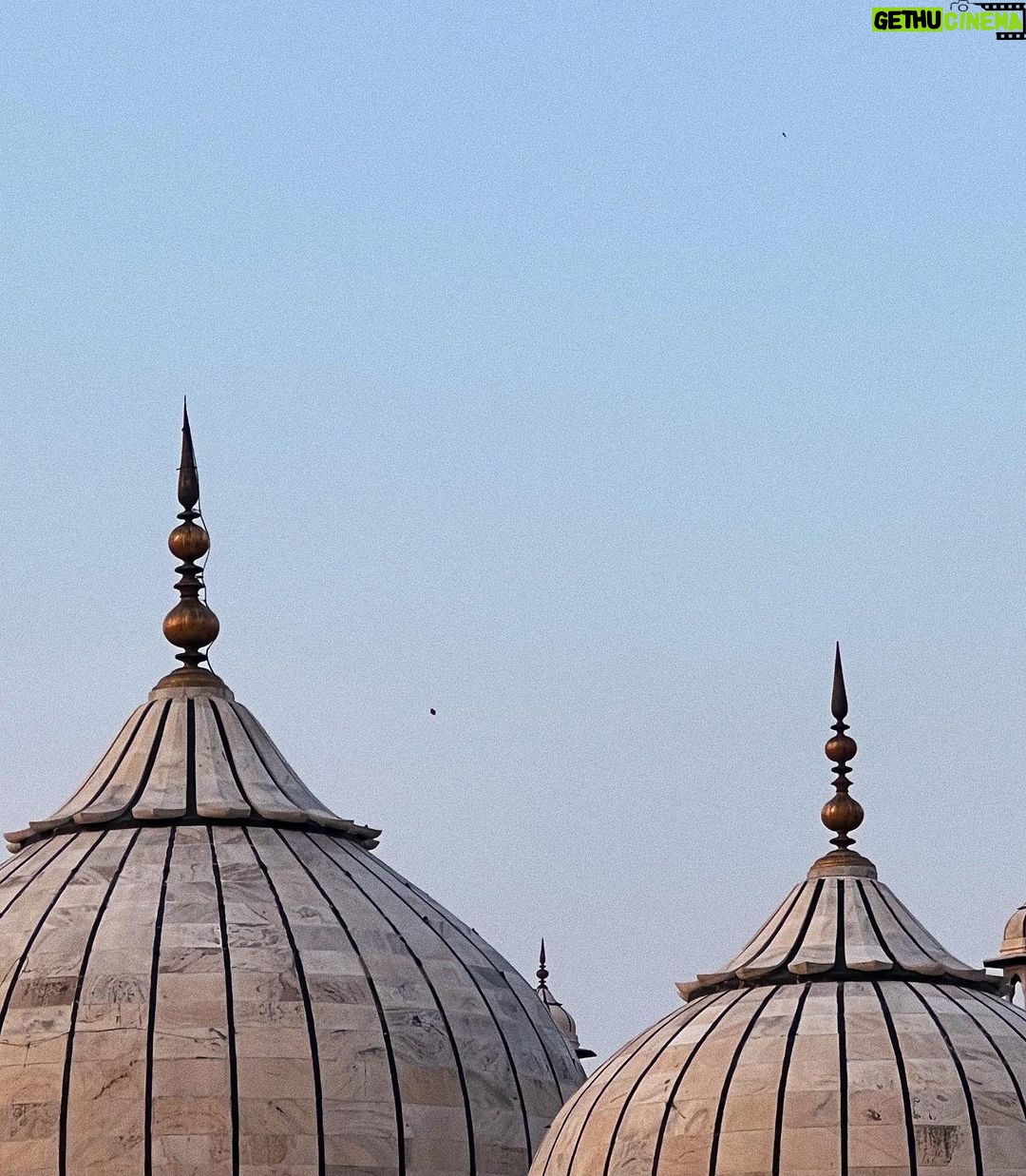 Alizeh Agnihotri Instagram - patterns of dilli 6