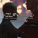 Alok Instagram - ‘JUNGLE’ is now available everywhere 🙌🏼🤍 Música nova disponível! Minha collab com @thechainsmokers @maestephens__ ‘JUNGLE’ finalmente chegou 😎 Você já pode add à sua playlist! 🫶🏼🫶🏼