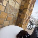 Alok Instagram - 😂😂❄️❄️