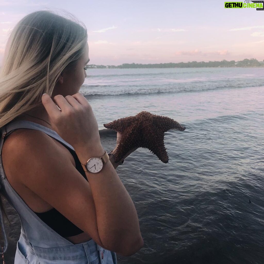 Alyssa Trask Instagram - Twinkle Twinkle little star(fish)🌟🌟 ——————————————————————Check out @danielwellington for their Boxing Day deals to get a free strap with your purchase of select holiday bundles and use my promo code ALLYTRASK to get 15% off! #danielwellington #boxingdayxdw #ad Link in bio💋