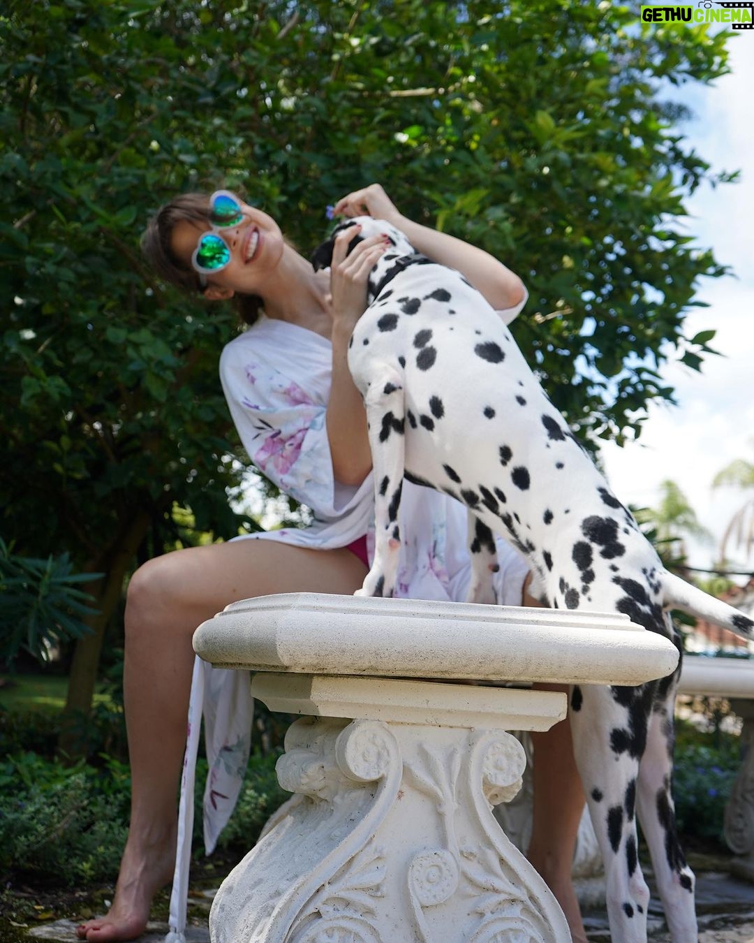 Amanda Cerny Instagram - Drop everything and enjoy the Florida weather kinda day🥰 life is short. Remember to really enjoy it , pet a pup, and spread love and kindness wherever you go.