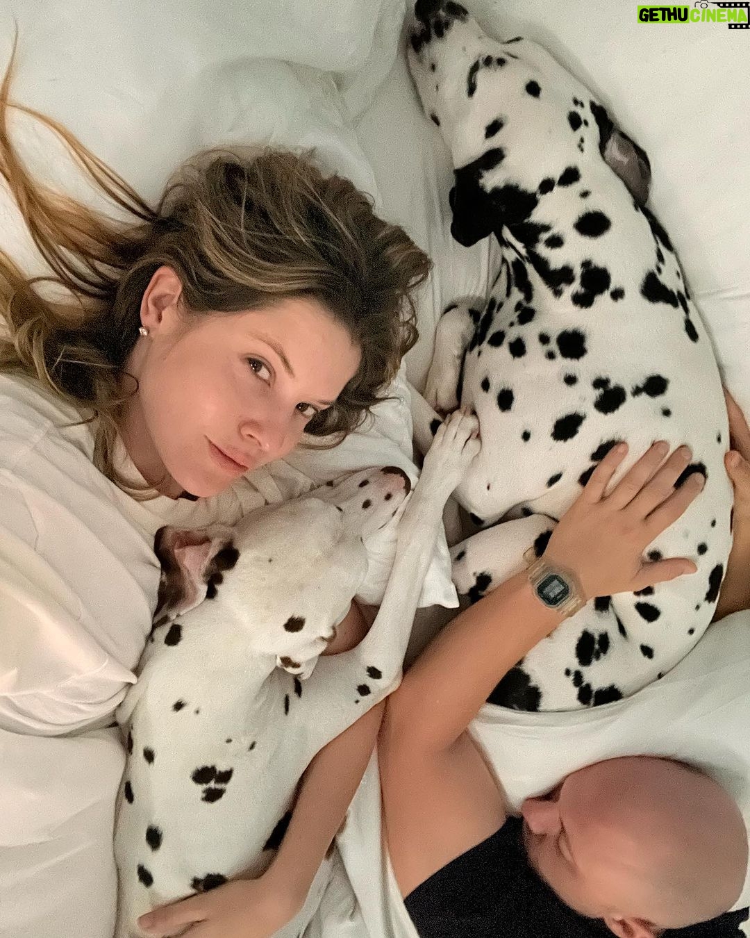 Amanda Cerny Instagram - It’s good morning for a good morning 🥰🐾