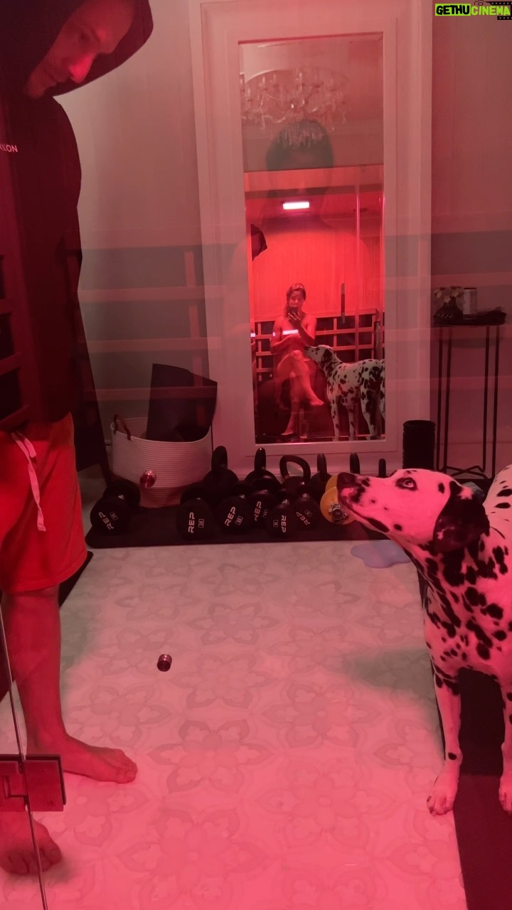 Amanda Cerny Instagram - Anyone else have unreasonable separation anxiety ? 🤗 @johannesbartl @abcdalmatians