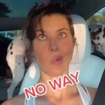 Amanda Cerny Instagram - No way😵‍💫!!! @johannesbartl #realestateagent #floridarealestate #houses #realestate South Florida