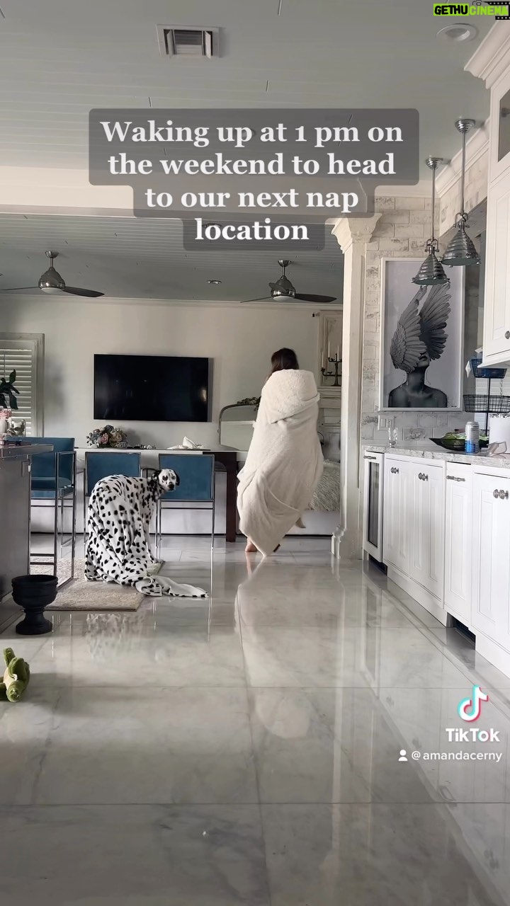 Amanda Cerny Instagram - Dream team 🐾✨ @abcdalmatians
