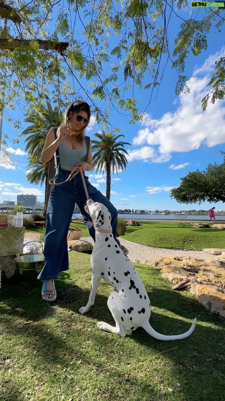 Amanda Cerny Instagram - Finally Found my new dance partner 😝😍 @abcdalmatians