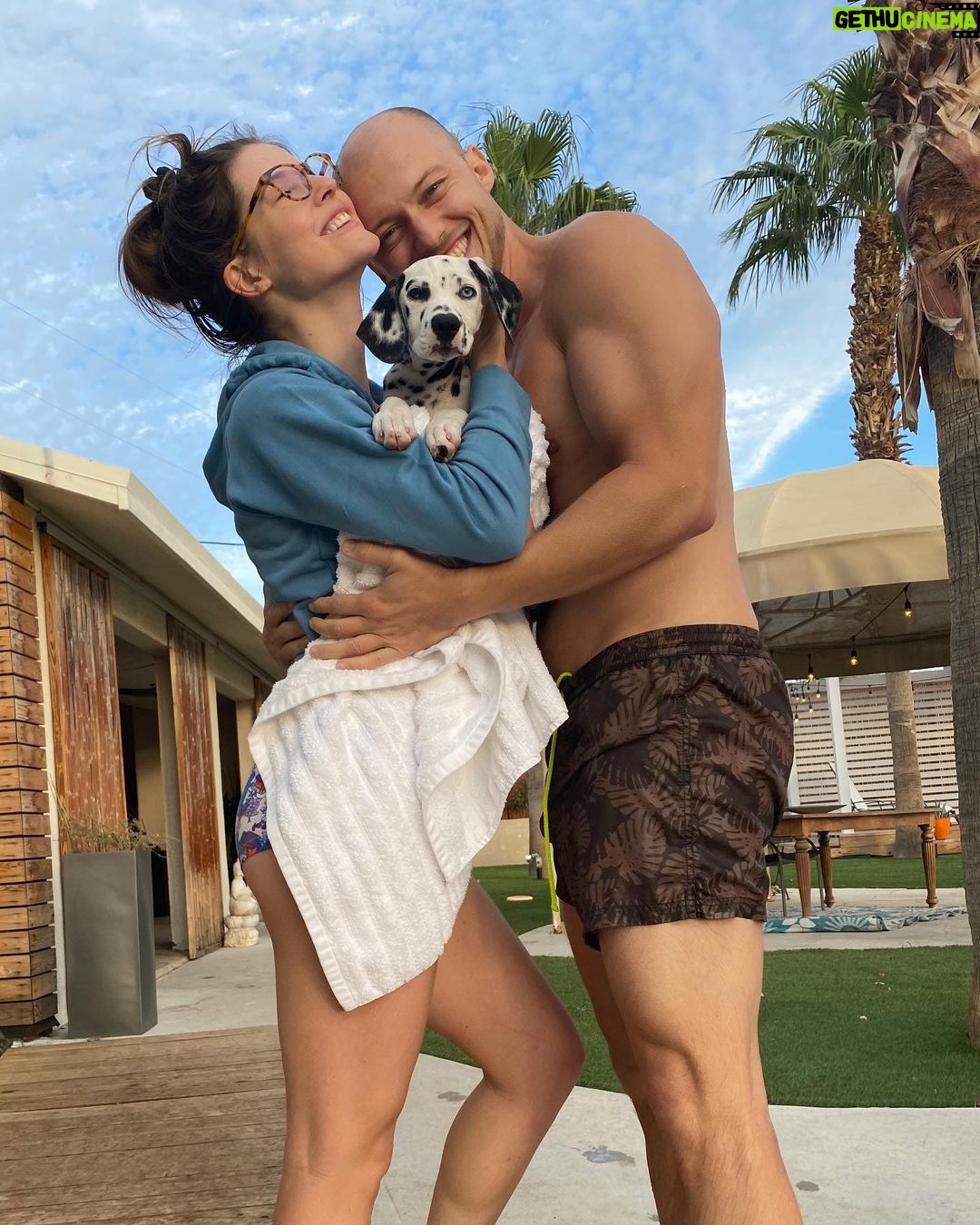 Amanda Cerny Instagram - If you have a dog, I wanna know itβs name! πππππππππ₯°