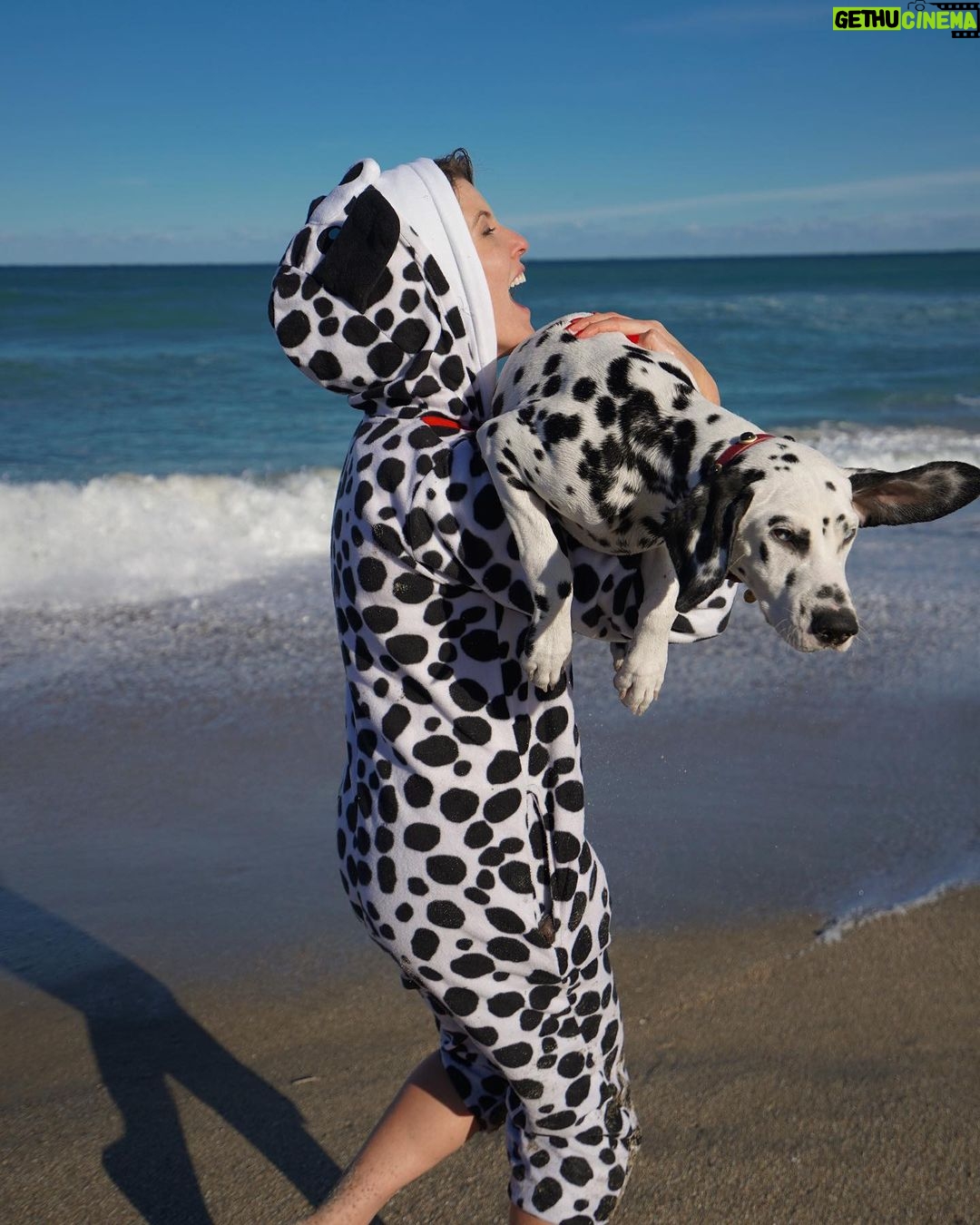 Amanda Cerny Instagram - If you have a dog, I wanna know itβs name! πππππππππ₯°