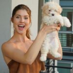 Amanda Cerny Instagram - If you have a dog, I wanna know it’s name! 😍😍😍😍😍😍😍🎉🥰