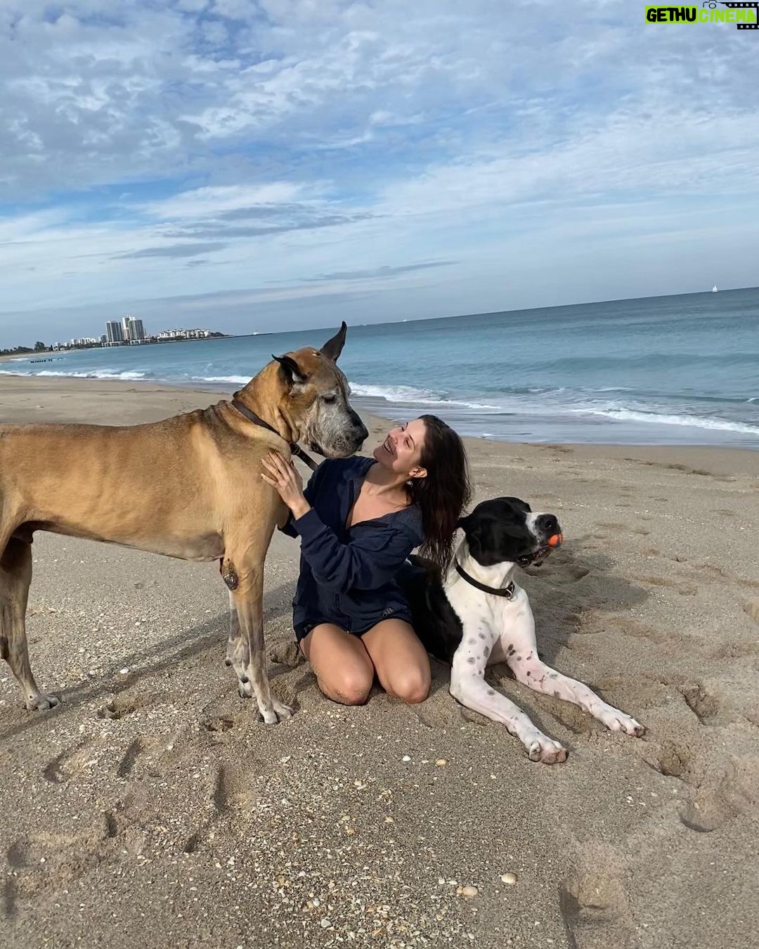 Amanda Cerny Instagram - If you have a dog, I wanna know itβs name! πππππππππ₯°