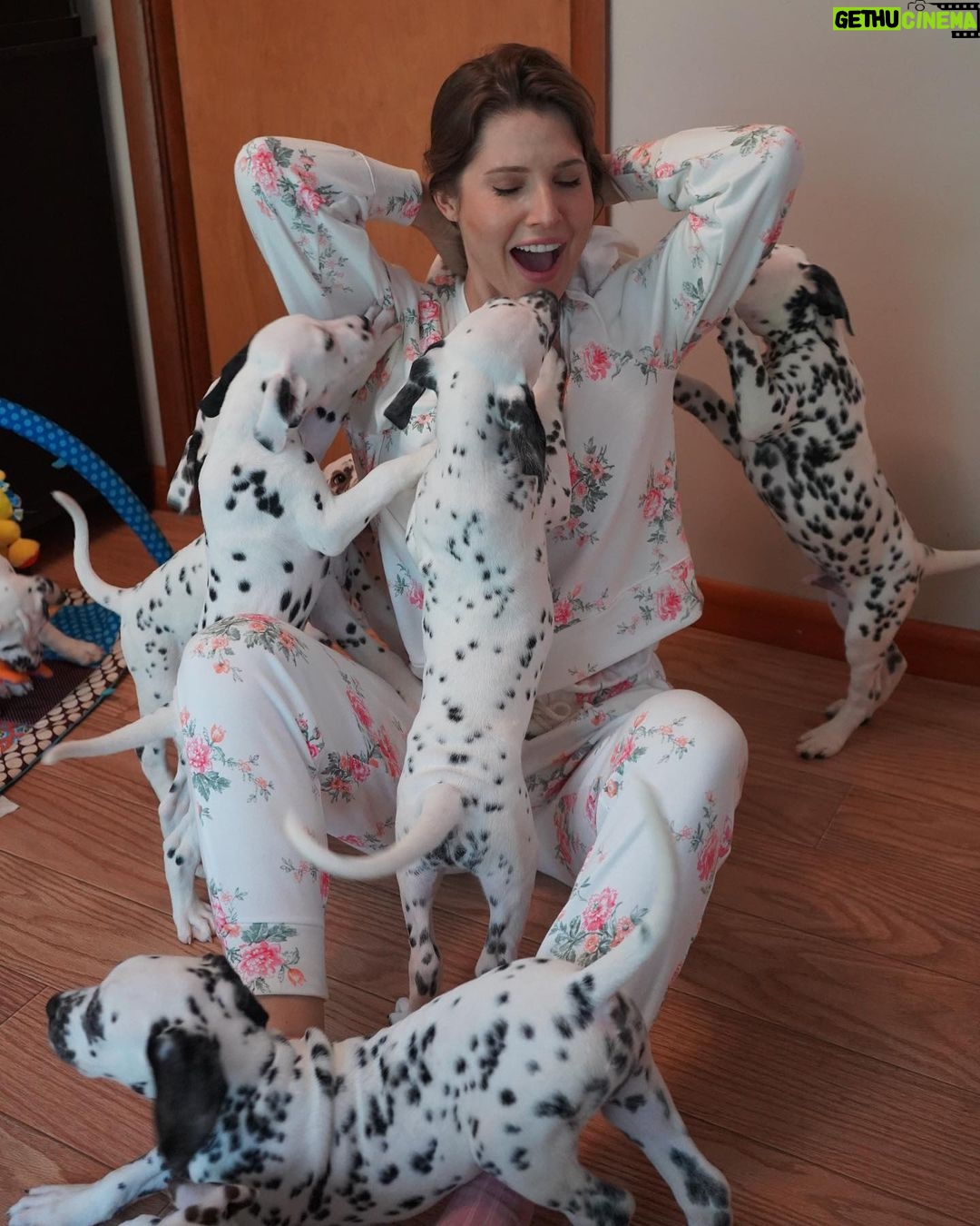 Amanda Cerny Instagram - If you have a dog, I wanna know itβs name! πππππππππ₯°