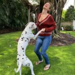 Amanda Cerny Instagram - My fur babies are my literal children! I hope I’m not alone here…
