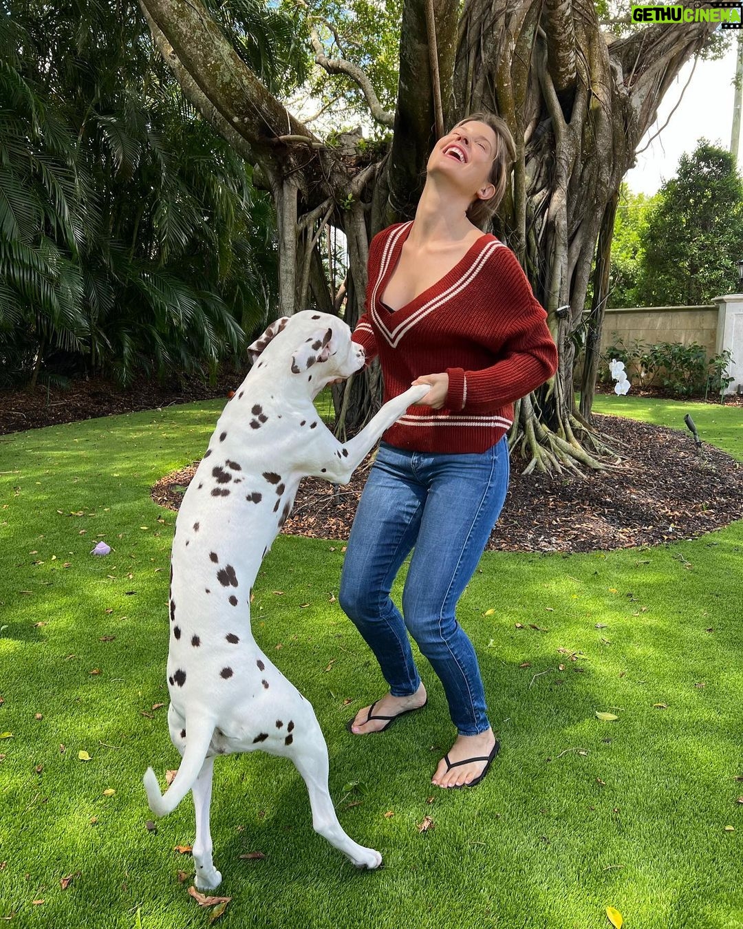 Amanda Cerny Instagram - My fur babies are my literal children! I hope I’m not alone here…