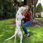 Amanda Cerny Instagram - My fur babies are my literal children! I hope I’m not alone here…