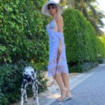 Amanda Cerny Instagram - Drop everything and enjoy the Florida weather kinda day🥰 life is short. Remember to really enjoy it , pet a pup, and spread love and kindness wherever you go.