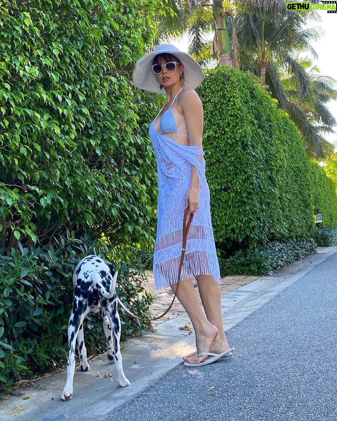 Amanda Cerny Instagram - Drop everything and enjoy the Florida weather kinda day🥰 life is short. Remember to really enjoy it , pet a pup, and spread love and kindness wherever you go.