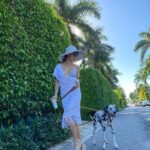 Amanda Cerny Instagram - Drop everything and enjoy the Florida weather kinda day🥰 life is short. Remember to really enjoy it , pet a pup, and spread love and kindness wherever you go.