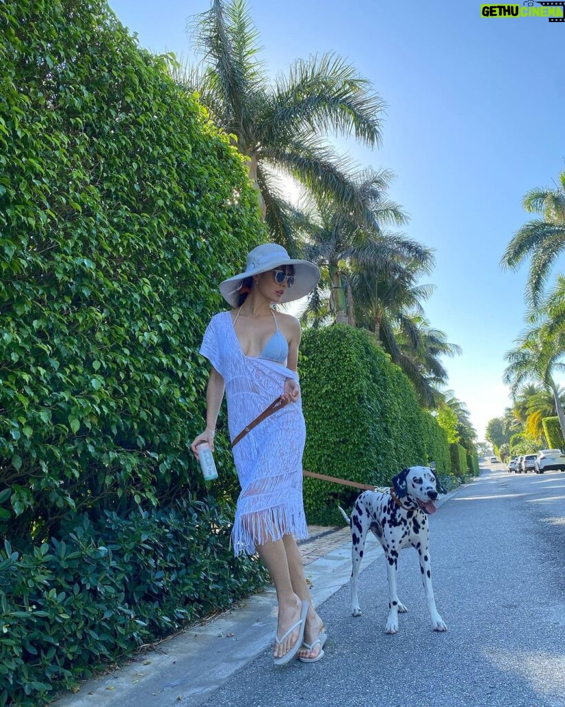 Amanda Cerny Instagram - Drop everything and enjoy the Florida weather kinda day🥰 life is short. Remember to really enjoy it , pet a pup, and spread love and kindness wherever you go.
