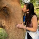 Amber Midthunder Instagram – Last month I got to visit @elephantnaturepark with my family and I truly cannot express how grateful I am to have been welcomed in by @lek_chailert and everyone there and to see all the amazing things being done by this place and these people to protect these beautiful beings 🤎✨ Elephant Nature Park