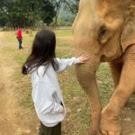 Amber Midthunder Instagram – Last month I got to visit @elephantnaturepark with my family and I truly cannot express how grateful I am to have been welcomed in by @lek_chailert and everyone there and to see all the amazing things being done by this place and these people to protect these beautiful beings 🤎✨ Elephant Nature Park