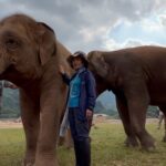 Amber Midthunder Instagram – Last month I got to visit @elephantnaturepark with my family and I truly cannot express how grateful I am to have been welcomed in by @lek_chailert and everyone there and to see all the amazing things being done by this place and these people to protect these beautiful beings 🤎✨ Elephant Nature Park