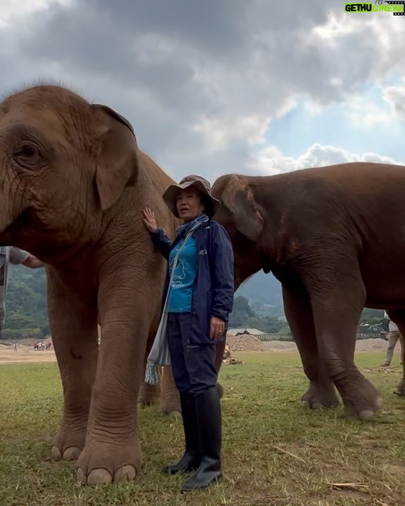 Amber Midthunder Instagram - Last month I got to visit @elephantnaturepark with my family and I truly cannot express how grateful I am to have been welcomed in by @lek_chailert and everyone there and to see all the amazing things being done by this place and these people to protect these beautiful beings π€β¨ Elephant Nature Park
