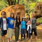 Amber Midthunder Instagram – Last month I got to visit @elephantnaturepark with my family and I truly cannot express how grateful I am to have been welcomed in by @lek_chailert and everyone there and to see all the amazing things being done by this place and these people to protect these beautiful beings 🤎✨ Elephant Nature Park