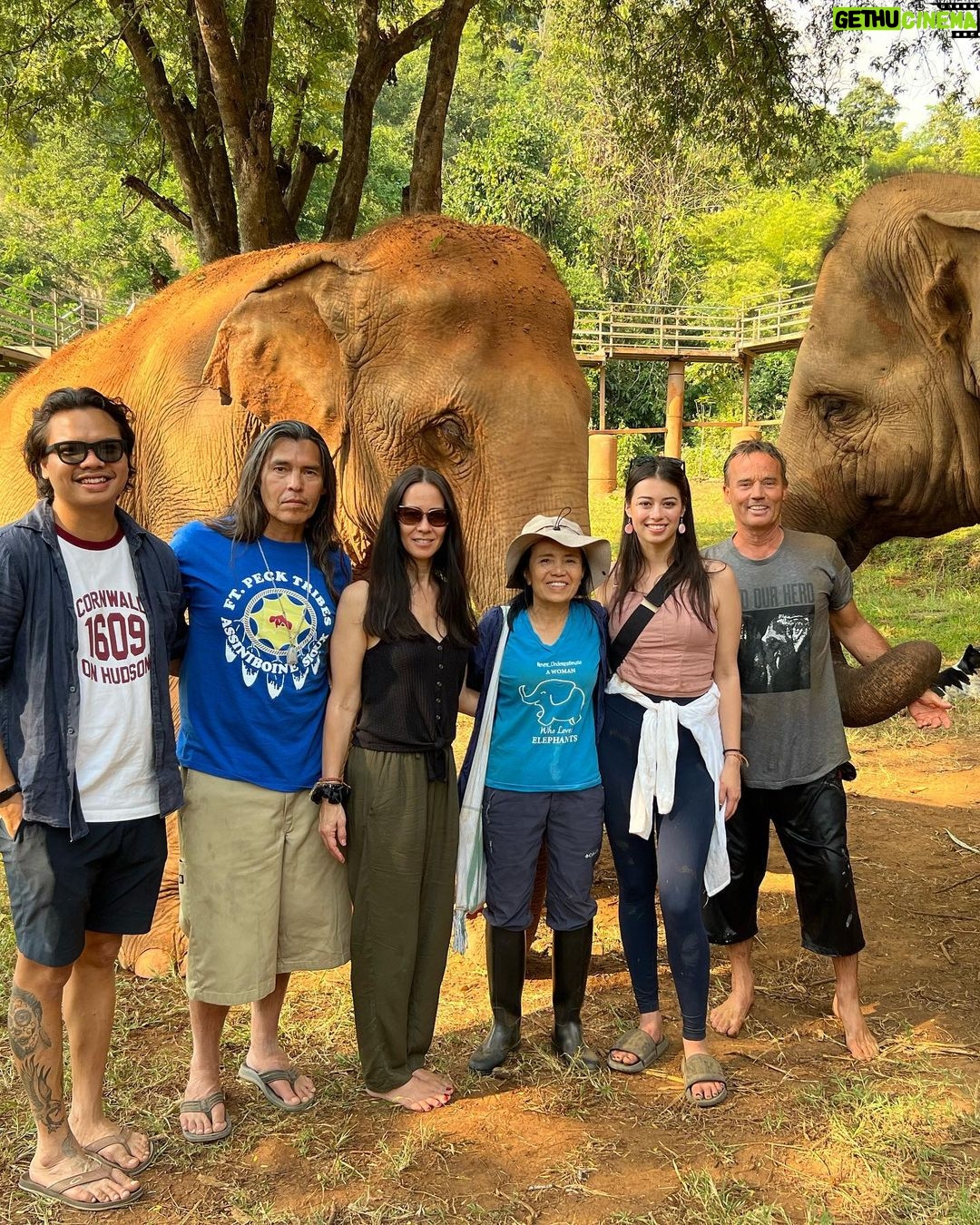 Amber Midthunder Instagram - Last month I got to visit @elephantnaturepark with my family and I truly cannot express how grateful I am to have been welcomed in by @lek_chailert and everyone there and to see all the amazing things being done by this place and these people to protect these beautiful beings π€β¨ Elephant Nature Park