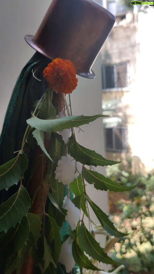 Ambika Ranjankar Instagram - शालिवाहन संवत्सराचा हा पहिला दिवस आहे. वेदांग ज्योतिष या ग्रंथात सांगितलेल्या साडेतीन मुहूर्तांपैकी हा एक मुहूर्त आहे. या दिवशी नवीन वस्तू खरेदी, व्यवसाय प्रारंभ, नव उपक्रमांचा प्रारंभ, सुवर्ण खरेदी इत्यादी गोष्टी केल्या जातात. दारी उभारलेली गुढी हे विजय आणि समृद्धीचे प्रतीक आहे असे मानले जाते. या दिवशी महाराष्ट्रात लोक घराच्या प्रवेशद्वारी उंचावर गुढी उभारतात.उंच बांबूच्या काडीला कडूनिंबाची डहाळी ,काढीच्या वरच्या टोकाला रेशमी वस्त्र अथवा साडी गुंडाळतात, फुलांचा हार आणि साखरेची गाढी बांधून त्यावर तांब्या /धातूचे भांडे बसवले जाते, गुढीचा बांबू पाटावर उभा केला जातो, तयार केलेली गुढी दारात ,उंच गच्चीवर लावतात.गुढीला गंध ,फुले ,अक्षता वाहतात व निरांजन लावून उदबत्ती दाखवतात. दुपारी गोडाचा नैवेद्य दाखवून संध्याकाळी पुन्हा हळद-कुंकू फुले वाहून गुढी उतरवली जाते. यादिवशी आनंद साजरा करीत आप्तेष्टांना नववर्षाच्या शुभेच्छा, गुढीपाडव्याच्या हार्दिक शुभेच्छा दिल्या जातात... तर तुम्हा सर्व प्रियजनांना गुढी पाडव्याच्या हार्दिक शुभेच्छा सभी को गुढी पाडवा की हार्दिक शुभकामनाएं Happy GudiPadwa to all my Lovely followers 🙏💕🌺🪅 #gudipadwa #mumbai #gudipadwaspecial #ugadi #festival #maharashtra #marathi #maharashtrian #newyear #happygudipadwa #photography #reelsinstagram #Instafam #imstagram #ambikaranjankar #reelswithhasmukhi #indianfestival #marathitradition #chaitra #navratri