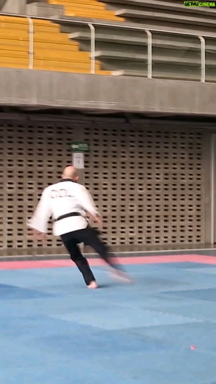 Ameer Vayalar Instagram - Taekwondo Freestyle Poomsae 💥💥🥋 | Tricking #taekwondo #worldtaekwondo #poomsae #tricking #ameervayalar