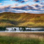 Amoghavarsha Instagram - Colors and then some more. The thing I miss about traveling to temperate countries is experiencing light and weather of a different tonality. It’s almost perfect shooting conditions most often. And the weather drama is constant. . . . . . . . . . #bigfork #montana #skies #usnationalparks #mist #nature ⁣ .⁣ .⁣ .⁣ .⁣ .⁣ #forest #hiking #ig #mountains #nature #nature_good #nature_lovers #nature_perfection #naturegeography #naturegram #natureisbeautiful #naturelife #naturelover #naturelovers #natureofinstagram #naturephoto #naturephotograpy #naturephotos #naturepics #natureshooters #natureshots #outdoors #photographylovers #tree #trees Bigfork, Montana