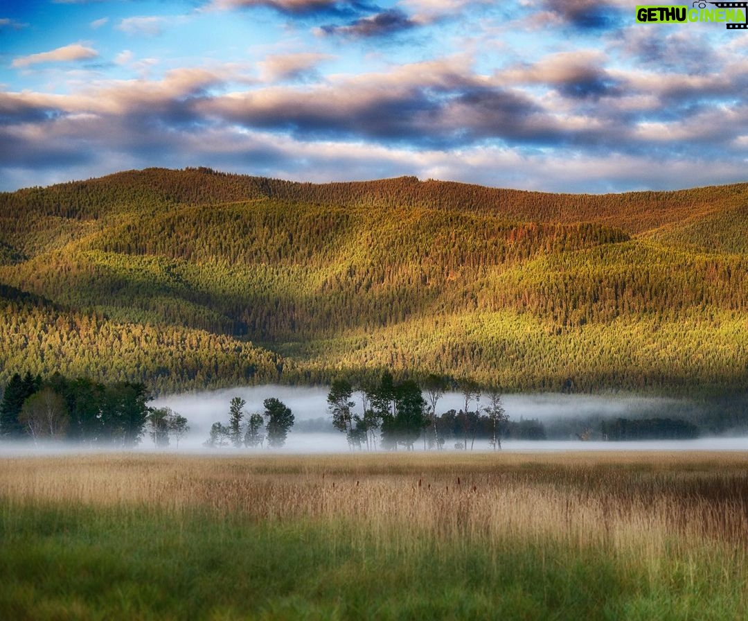 Amoghavarsha - 2K Likes - Colors and then some more. The thing I miss about traveling to temperate countries is experiencing light and weather of a different tonality. Itās almost perfect shooting conditions most often. And the weather drama is constant.
.
.
.
.
.
.
.
.
.
#bigfork #montana #skies #usnationalparks #mist #nature ā£
.ā£
.ā£
.ā£
.ā£
.ā£
#forest #hiking #ig #mountains #nature #nature_good #nature_lovers #nature_perfection #naturegeography #naturegram #natureisbeautiful #naturelife #naturelover #naturelovers #natureofinstagram #naturephoto #naturephotograpy #naturephotos #naturepics #natureshooters #natureshots #outdoors #photographylovers #tree #trees
