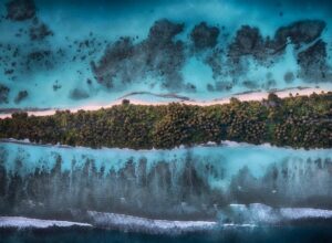 Amoghavarsha Instagram - The indian ocean
.
.
.
.
.
.
.
.
#maldives #indianocean #aerial #reef #mudskipping #dji #nature #earthpix #earthinfocus