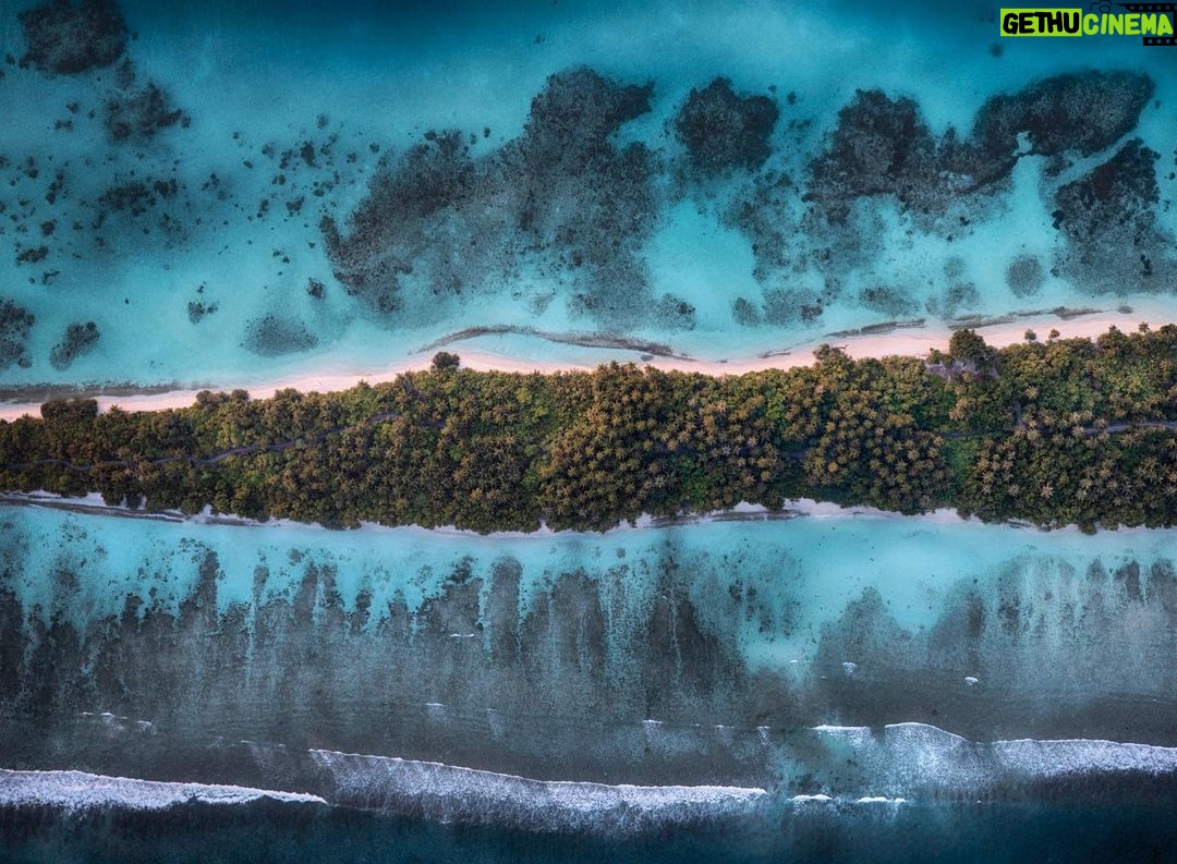 Amoghavarsha - 1.8K Likes - The indian ocean
.
.
.
.
.
.
.
.
#maldives #indianocean #aerial #reef #mudskipping #dji #nature #earthpix #earthinfocus