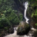 Amoghavarsha Instagram - Lush . . . . . . . #shotoniphone #westernghats #waterfalls #naturephotography #canon #onassigment #earthpix #landscape #water #forest #coorg