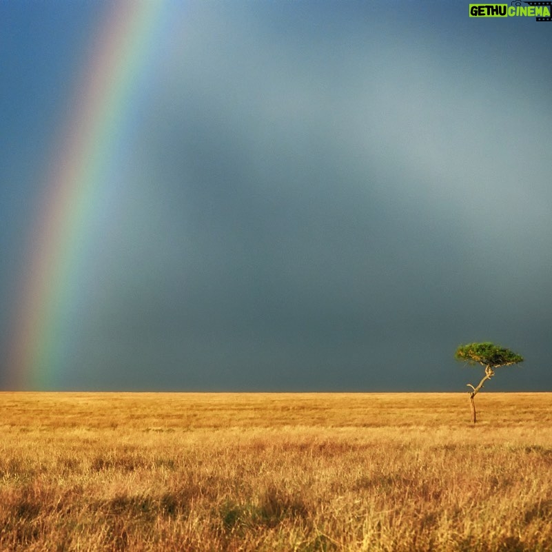 Amoghavarsha - 1.9K Likes - #isolation #africa #masaimara #mudskipping